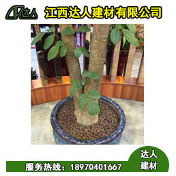 花卉園林陶粒好不好用？